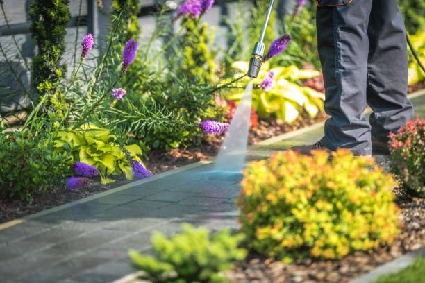 Best Driveway Pressure Washing  in South Corning, NY