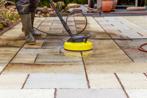 Best Solar Panel Cleaning  in South Corning, NY